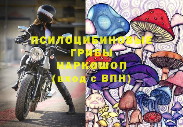 гидра Козловка
